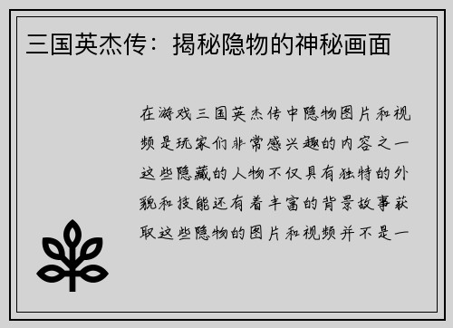 三国英杰传：揭秘隐物的神秘画面